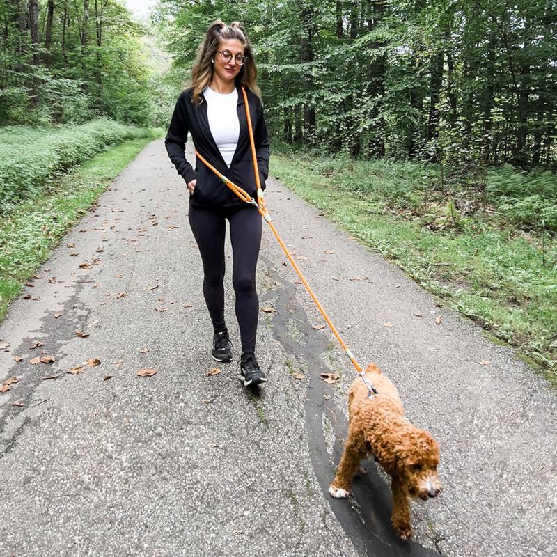 Running Gear Dog - Reflective Hands-Free Dog Leash for Hiking,