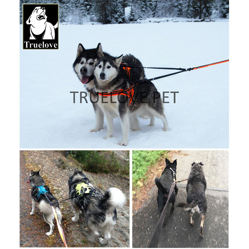 Truelove Nylon Double Dog Leas - огляд і ціна Running Gear Dog