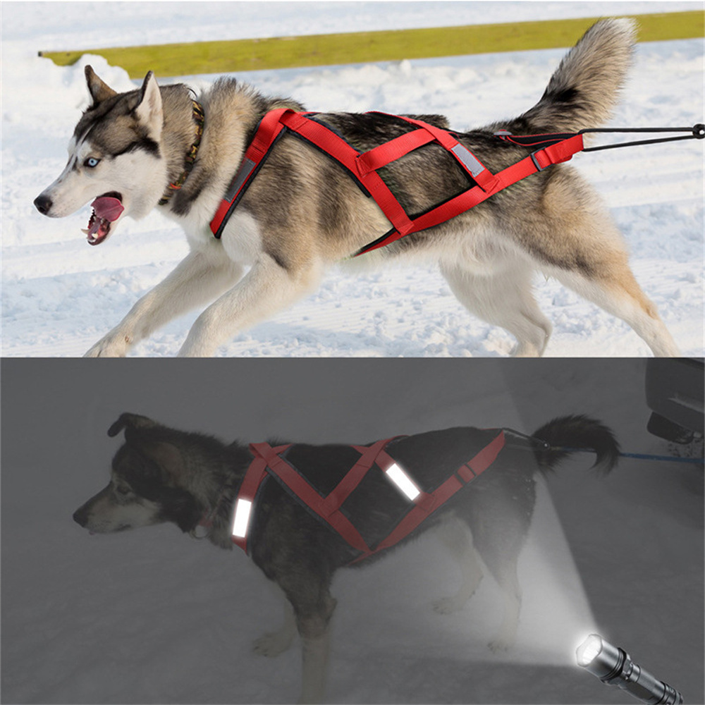 High Quality Big Dog Sledge Ha - огляд і ціна Running Gear Dog