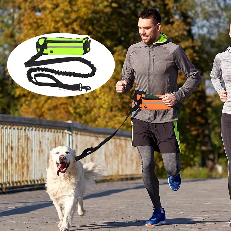 Hands Free Dog Leash for Runni - огляд і ціна Running Gear Dog