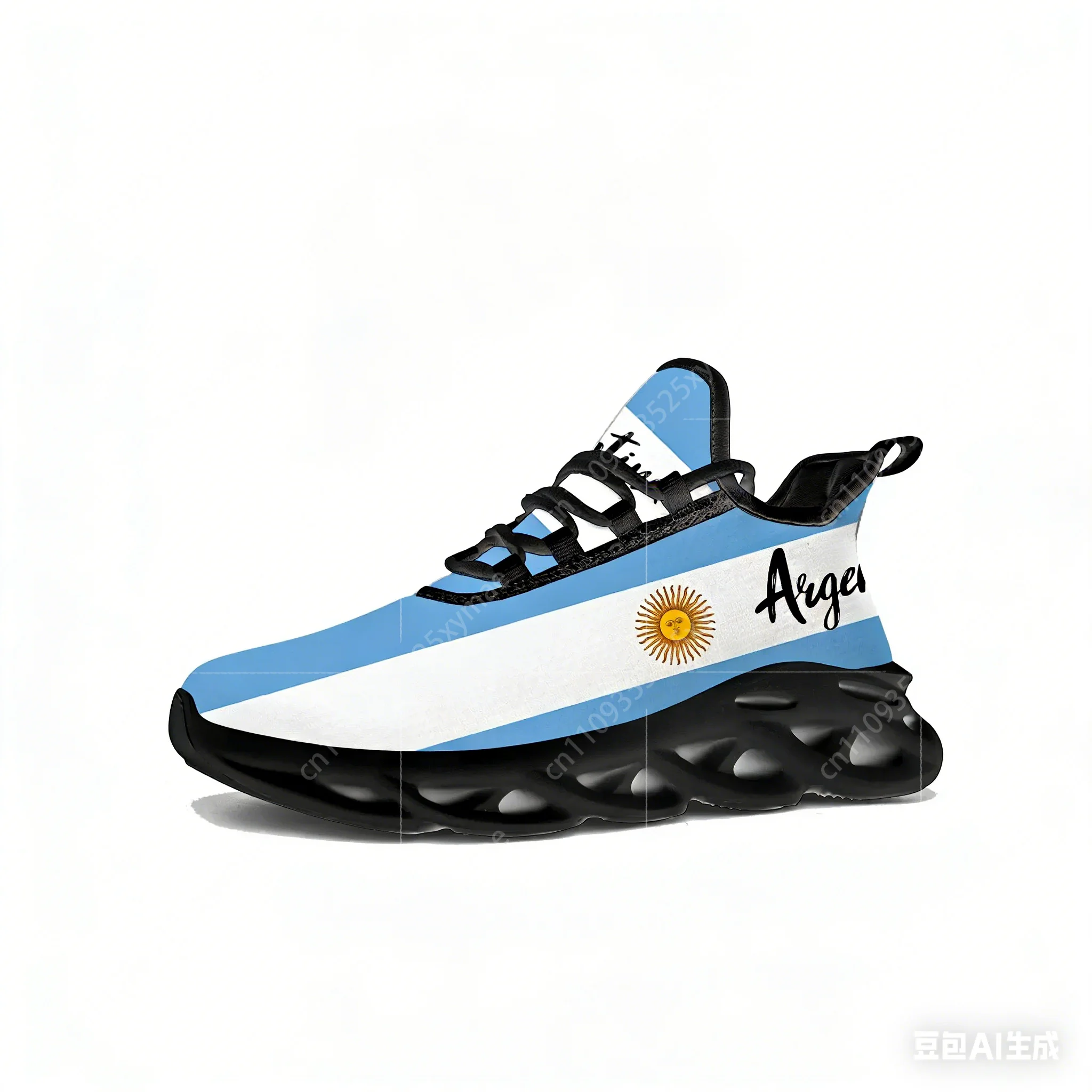 Argentine Flag Flats Sneakers  - огляд і ціна Running Gear Shoes