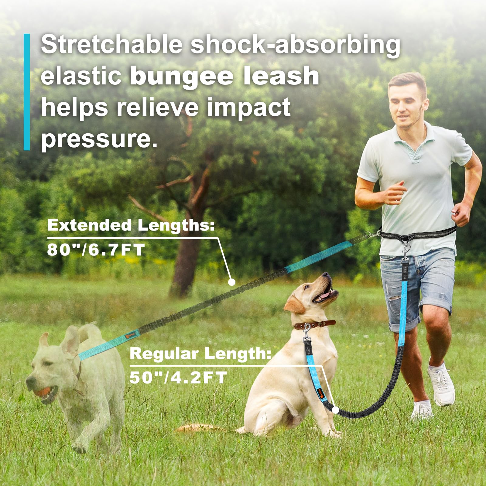 Double elastic reflective runn - огляд і ціна Running Gear Dog