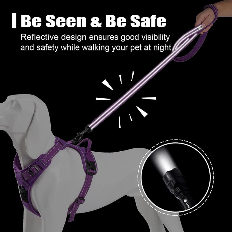 Truelove 200Cm Nylon Dog Lead  - огляд і ціна Running Gear Dog