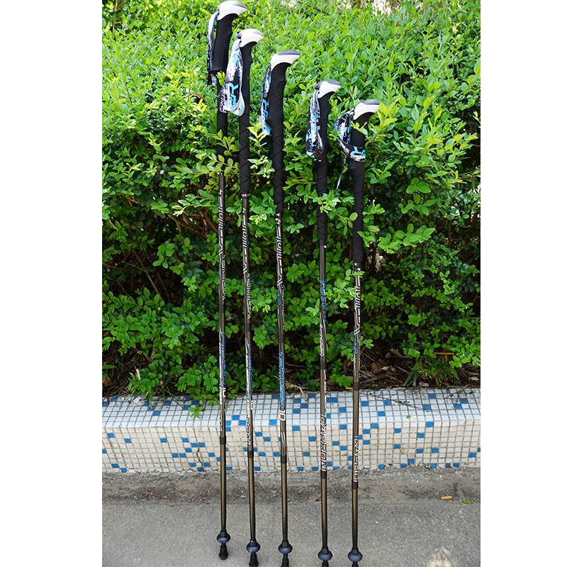 PIONEER Carbon Fiber Trekking  - огляд і ціна Trekking Pole Carbon