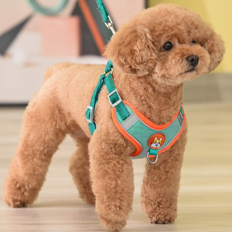Adjustable No Pull Pet Reflect - огляд і ціна Running Gear Dog